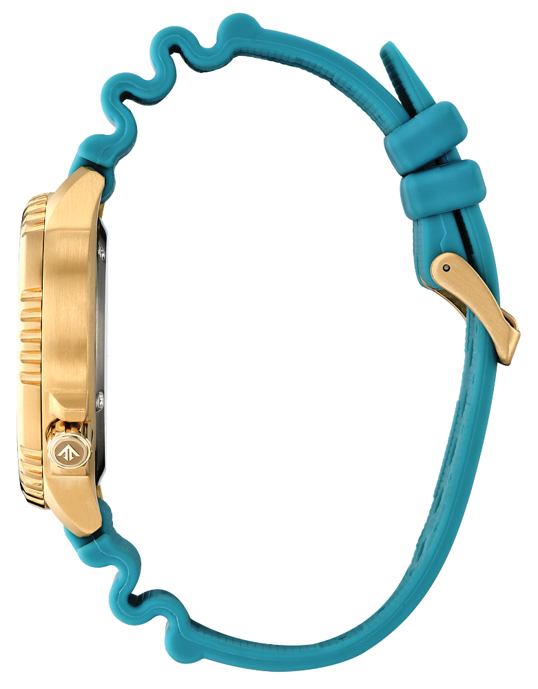 Citizen Promaster Eco-Drive Diver Blue-Gold Unisex Watch BN0162-02X