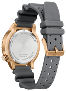 Citizen Promaster Eco-Drive Diver Grey-Gold Unisex Watch BN0163-00H
