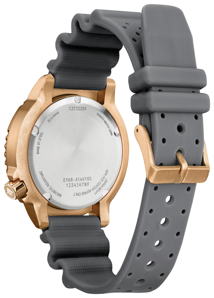Gold Promaster Citizen Promaster Eco-Drive Diver Grey-Gold Unisex Watch BN0163-00H