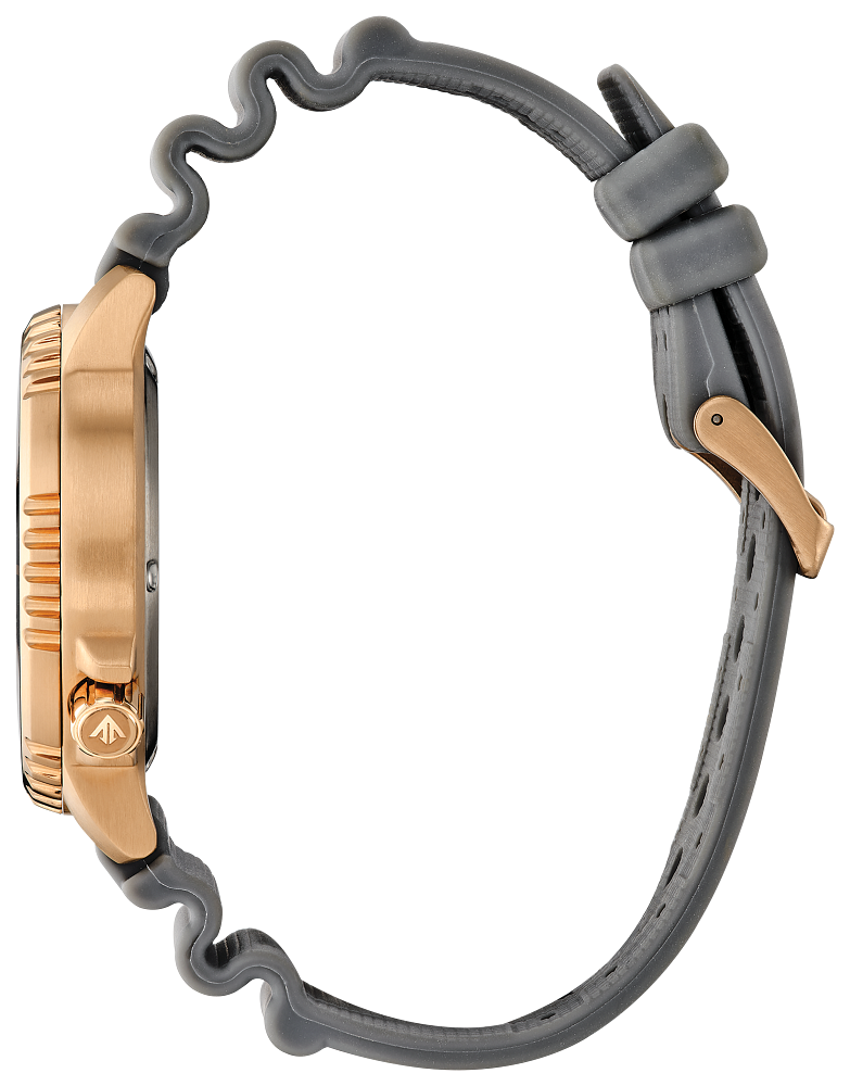 Citizen Promaster Eco-Drive Diver Grey-Gold Unisex Watch BN0163-00H